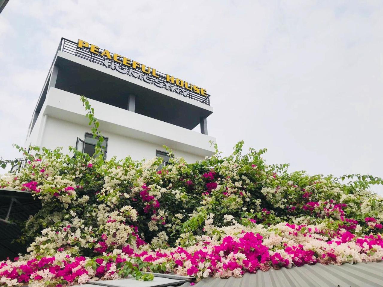 Peaceful House Hostel Ðồng Hới Luaran gambar